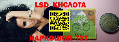 гашик Моздок