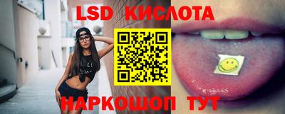 гашик Моздок