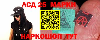 шишки Можга