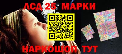 гашик Моздок