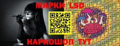 шишки Можга