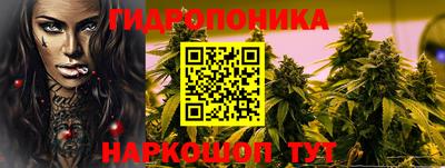 гашик Моздок
