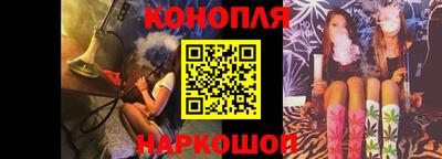 шишки Можга