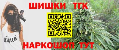гашик Моздок