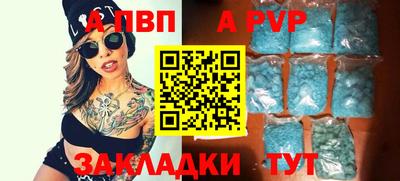 гашик Моздок
