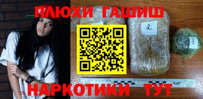 гашик Моздок