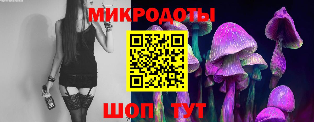 Галлюциногенные грибы Cubensis Магнитогорск