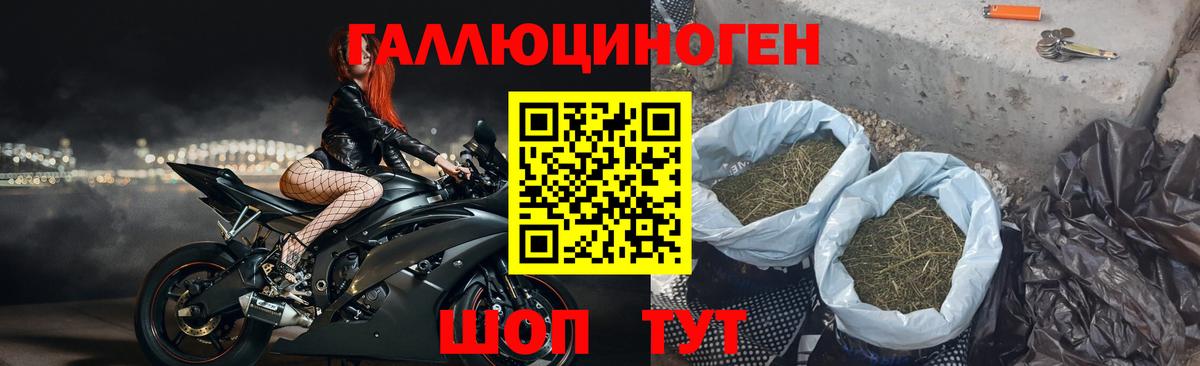 Псилоцибиновые грибы ЛСД  Псилоцибиновые грибы прущие грибы  Вход с VPN  где продают наркотики  Магнитогорск 
